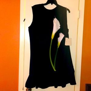 Victoria Beckham Dress